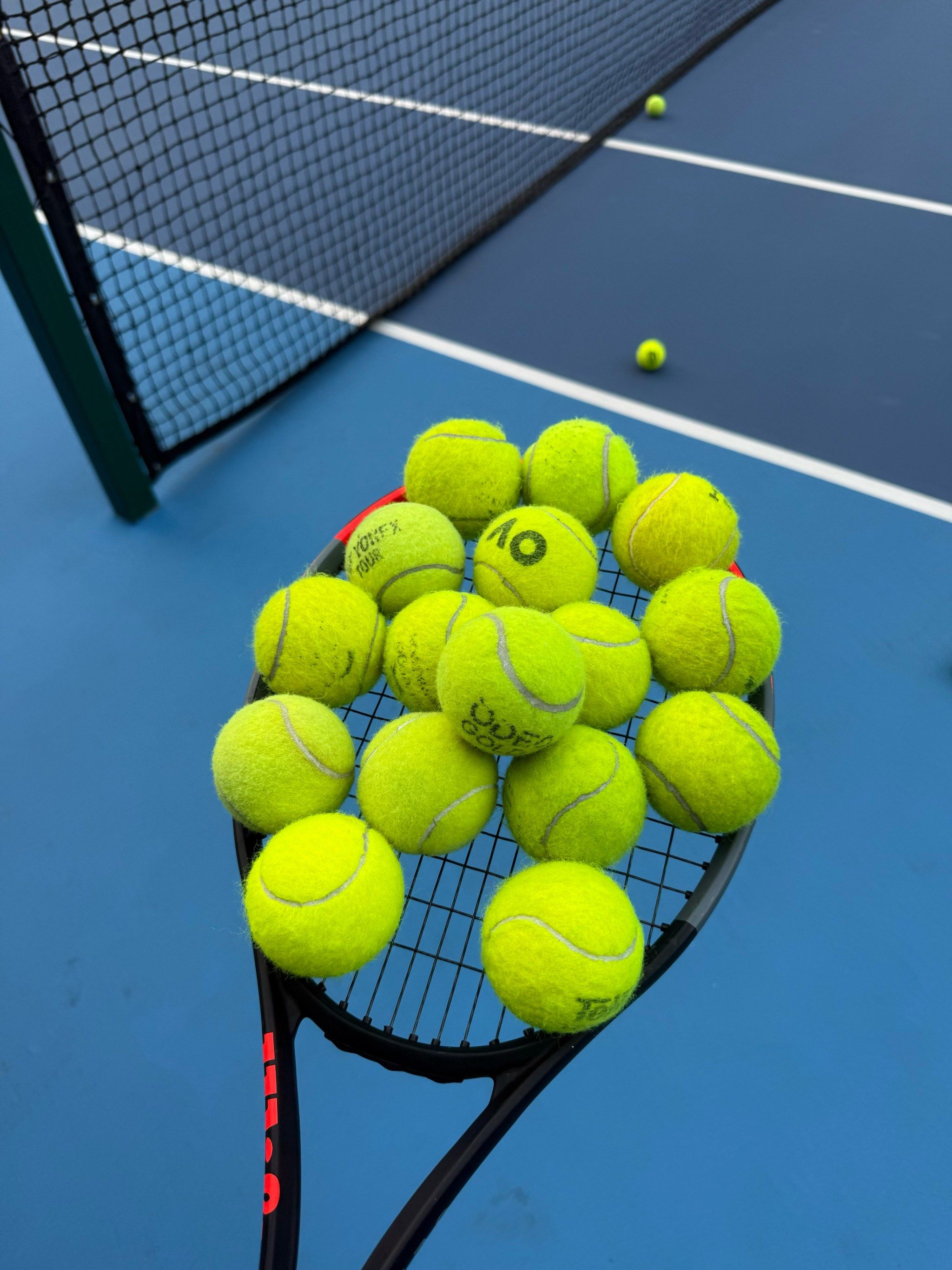 影响与期待 影响与期待