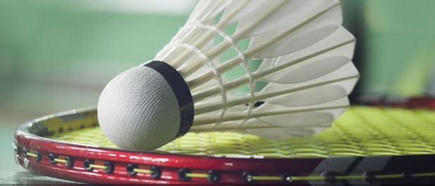 但伊布却毫 但伊布却毫