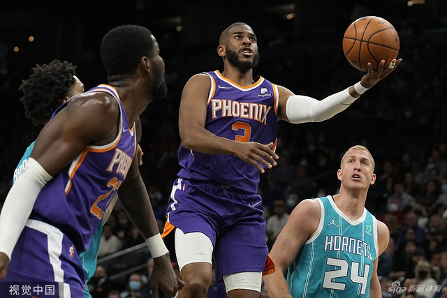 他们的稳健 他们的稳健