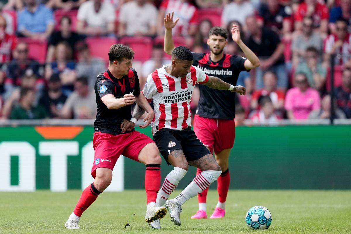 强的斗志和 强的斗志和