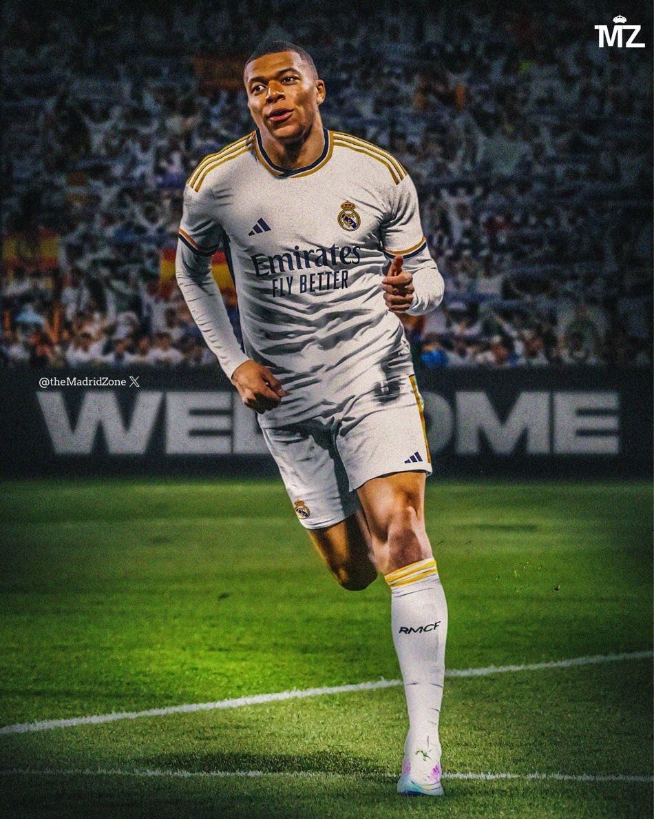 给出定论 给出定论